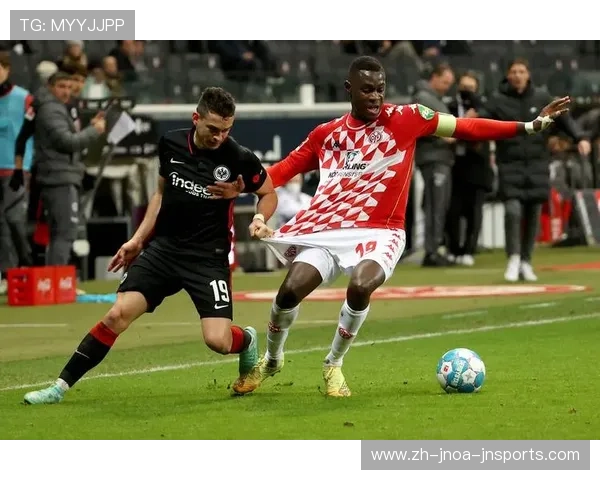 霍芬海姆足球俱乐部历史起源与德甲崛起之路探析